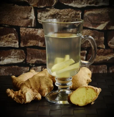 Lulu-la-Coussacoise-Atelier-et-gourmandises-La-Ginger-beer-dans-tous-ses-etats-8211-07-08-2025-8211-Coussac-Bonneval_2879749