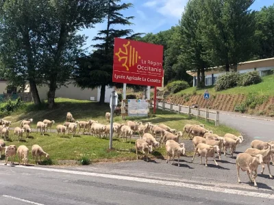 Lycee-agricole-La-Cazotte-8211-Saint-Affrique_2244516