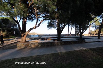 MAISON-2-CHAMBRES-PISCINE-COMMUNE-TERRASSE-ET-JARDIN_164540