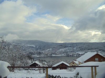 MAISON-MITOYENNE-LES-FOURMIS_81357