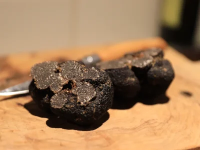 MARCHE-AUX-TRUFFES-10EME-EDITION-DU-CARNAVAL-DES-SAVEURS-ET-TRUFFES-8211-22-02-2026-8211-La-Digne-d039Aval_3449887