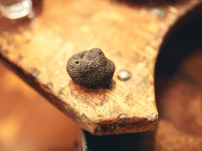 MARCHE-AUX-TRUFFES-ET-PRODUITS-DU-TERROIR-8211-27-12-2025-8211-Villeneuve-Minervois_3103140