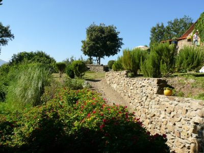 MAS-AL-PARE_163970