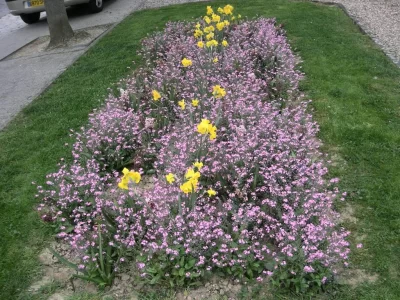 MOUZON-Ville-Fleurie-quot2-Fleursquot_567065