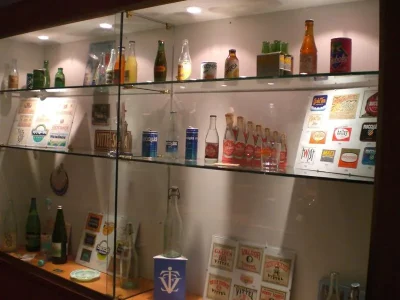 MUSEE-DU-PATRIMOINE-ET-DU-THERMALISME-8211-Vittel_1888185