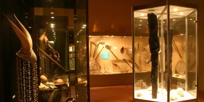 MUSEUM-D039HISTOIRE-NATURELLE_647830