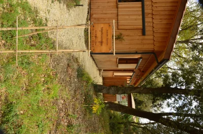 Madame-Tissinier-Isabelle-8211-Reflexologue-8211-Soulac-sur-Mer_1732106