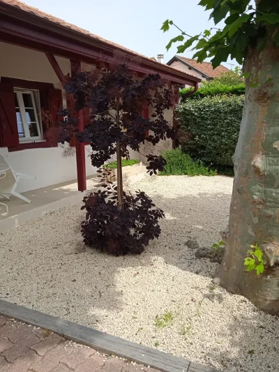 Maison-Calanques-8211-Vieux-Boucau-les-Bains_1631456