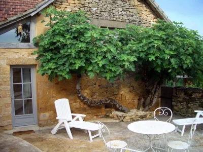 Maison-La-Greze-8211-au-calme-8211-Marquay_1929622