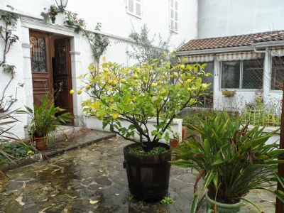 Maison-Mirailh-8211-Amou_2791508