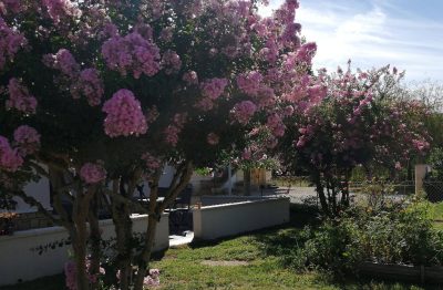 Maison-au-coeur-du-Perigord-Pourpre_105208
