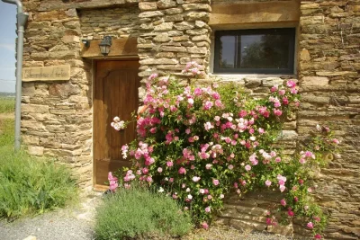 Maison-d039hotes-de-la-Loubiere-8211-Requista_2227737