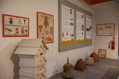 Maison-de-la-Ruche-et-des-Abeilles-du-Gatinais-8211-Pannes_2702783