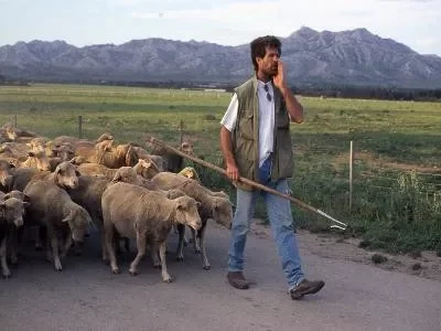 Maison-de-la-Transhumance_665519