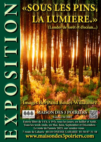 Maison-des-3-Poiriers-8211-Galerie-de-photographies-de-la-foret-Landaise-et-de-lOcean.-8211-Onesse-Laharie_3883169