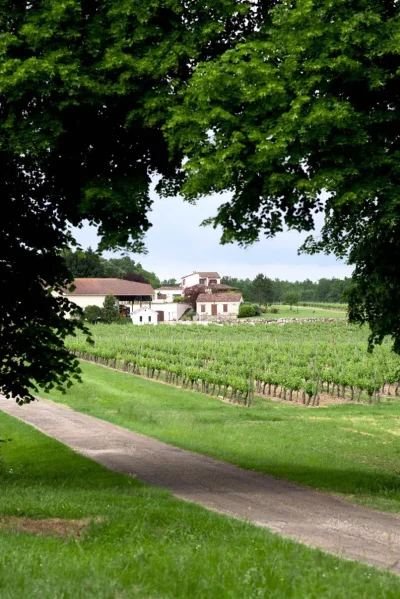 Maison-du-Domaine-du-Grand-Mayne-8211-Villeneuve-de-Duras_1630887