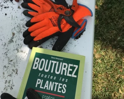 Malagar-Autrement-8211-Atelier-bouturage-dans-le-parc-8211-30-08-2026-8211-Saint-Maixant_3487106
