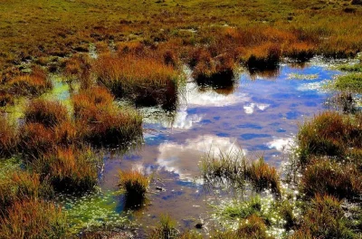 Marais-du-paradis-8211-ZNIEFF-8211-Issancourt-et-Rumel_2028653