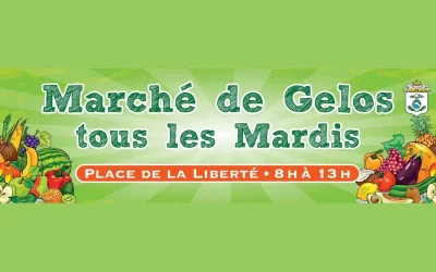 Marche-8211-13-01-2026-8211-Gelos_3206128