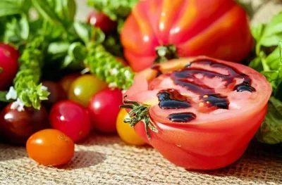 Marche-Gourmand-a-la-Ferme-de-la-Borie-du-Moulin-8211-18-08-2026-8211-Lalbenque_3797263
