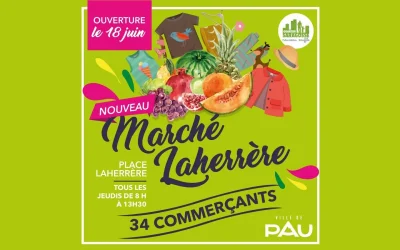 Marche-Laherrere-8211-11-12-2025-8211-Pau_2833444