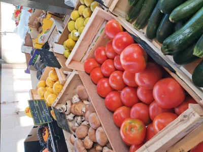 Marche-Place-Saint-Martin-a-Vendome-8211-01-01-2026-8211-Vendome_3415644