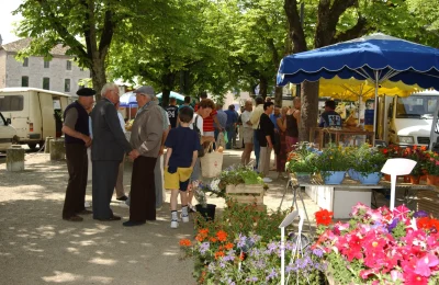 Marche-a-Castelnau-Montratier-8211-21-09-2025-8211-Castelnau-Montratier-Sainte-Alauzie_2369149