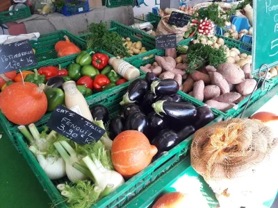 Marche-alimentaire-de-Bourgueil-8211-06-09-2025-8211-Bourgueil_2005319
