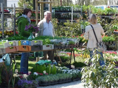 Marche-aux-Plantes-et-aux-Pots-8211-19-04-2026-8211-Sarreguemines_3559030