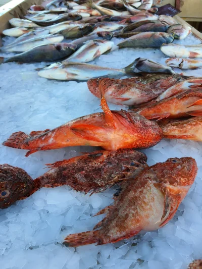 Marche-aux-Poissons-8211-01-01-2025-8211-La-Ciotat_2348644