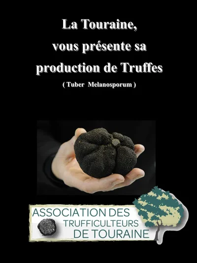Marche-aux-Truffes-8211-21-02-2026-8211-Joue-les-Tours_3313825