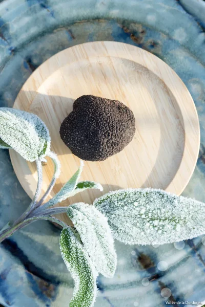 Marche-aux-Truffes-de-Cressensac-Sarrazac-8211-11-01-2026-8211-Cressensac-Sarrazac_3102093