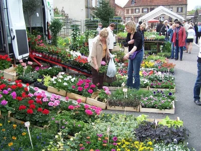 Marche-aux-fleurs-Artisanat-et-Saveurs-du-terroir-8211-24-05-2026-8211-Henriville_3607962