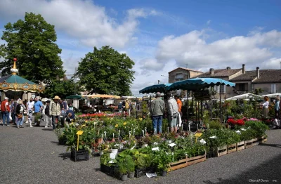 Marche-aux-fleurs-vide-greniers-et-artisanat-8211-19-04-2026-8211-Duras_2526928-1