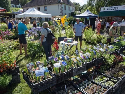 Marche-aux-plantes-8211-10-08-2025-8211-Sapois_2602485