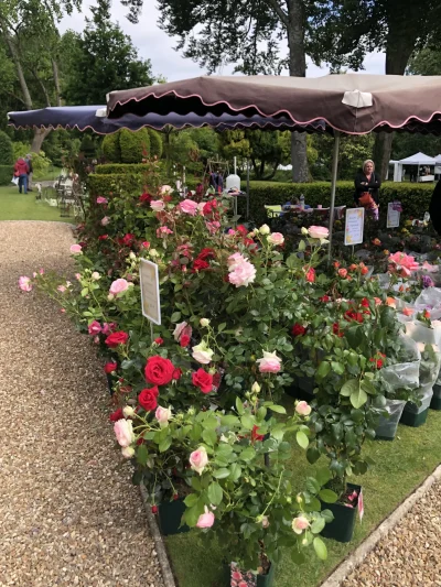 Marche-aux-plantes-et-produits-du-terroir-8211-23-05-2026-8211-Sasnieres_3343230