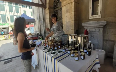 Marche-aux-produits-fermiers-8211-06-12-2025-8211-Hasparren_2983050