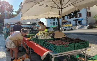 Marche-aux-produits-fermiers-8211-13-09-2025-8211-Hasparren_2982787