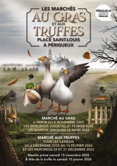 Marche-aux-truffes-8211-17-01-2026-8211-Perigueux_3469964