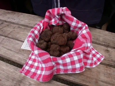 Marche-aux-truffes-de-Gignac-8211-25-01-2026-8211-Gignac_3102165