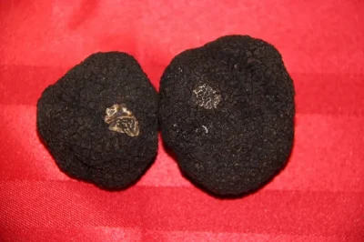Marche-aux-truffes-et-produits-du-terroir-8211-10-01-2026-8211-Marigny-Marmande_3221011