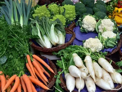 Marche-biologique-de-Rouffach-8211-08-01-2025-8211-Rouffach_2355734