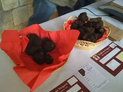 Marche-controle-de-producteurs-locaux-de-truffes-8211-26-12-2025-8211-Brantome-en-Perigord_3235746