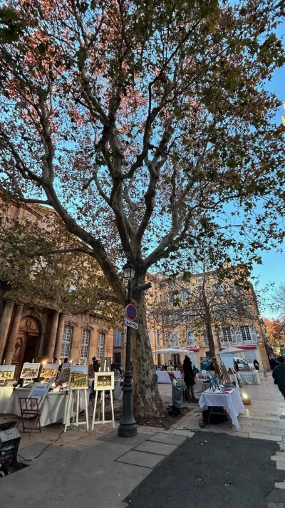Marche-d039artistes-d039Art-et-creation-du-Sud-8211-06-09-2025-8211-Aix-en-Provence_2864662
