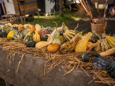 Marche-d039automne-8211-04-10-2026-8211-Hannonville-sous-les-Cotes_3593747