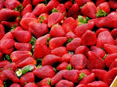 Marche-de-Fleury-les-Aubrais-8211-Dimanche-8211-01-01-2025-8211-Fleury-les-Aubrais_2469003