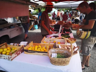 Marche-de-Marval-8211-15-09-2024-8211-Marval_1627826