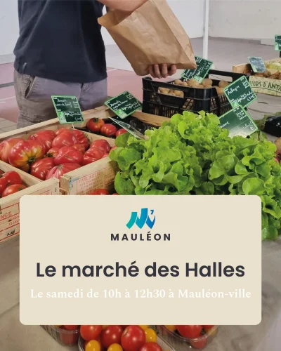 Marche-de-Mauleon-8211-27-09-2025-8211-Mauleon_2366018