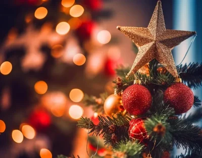 Marche-de-Noel-8211-13-12-2025-8211-Peyrat-le-Chateau_3045098