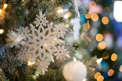 Marche-de-Noel-Saulzais-Le-Potier-8211-23-11-2025-8211-Saulzais-le-Potier_2166585